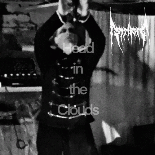 Striborg : Head in the Clouds